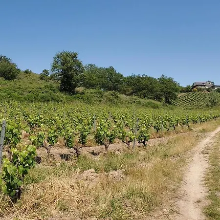 펜션 Maison Du Domaine Chalonnes-sur-Loire